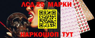 крисы Гатчина