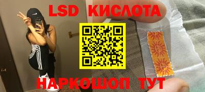 крисы Гатчина