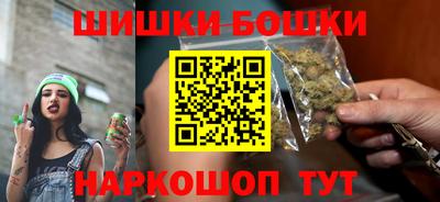крисы Гатчина