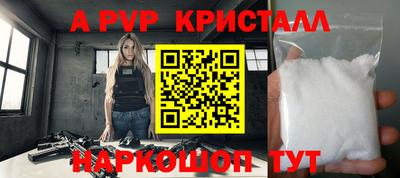 крисы Гатчина