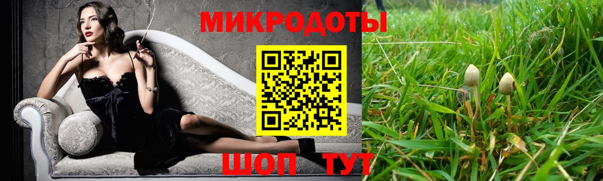 купить наркоту  Вход с VPN  Северодвинск  Галлюциногенные грибы Psilocybe 